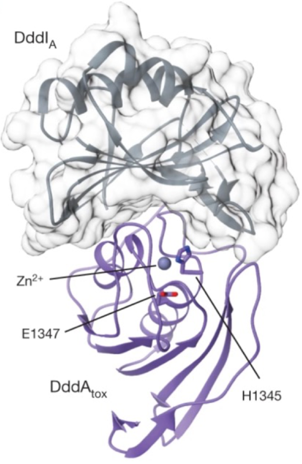 0936f425f714f070e8ab898b5d506758_1750392515_7047.png