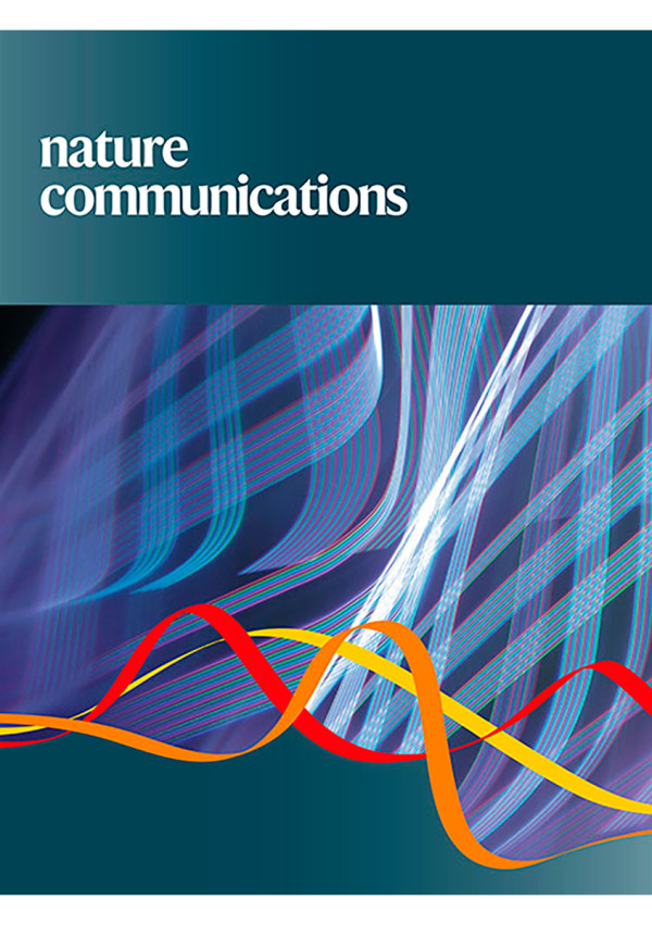 e5294eb16688e07471064053fef73185_1760579998_6265.jpg