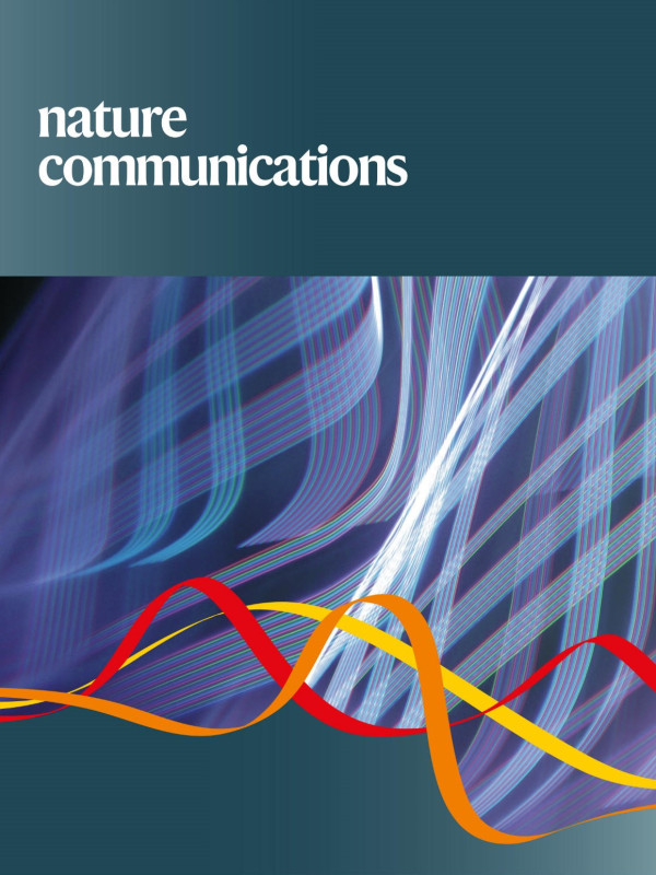 e99731d1da494bdecc918b8d108c94ce_1792475997_3835.jpg