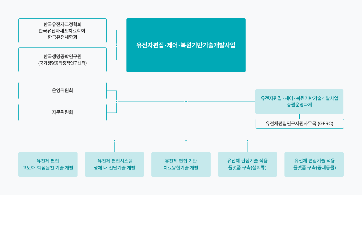 사업운영체계