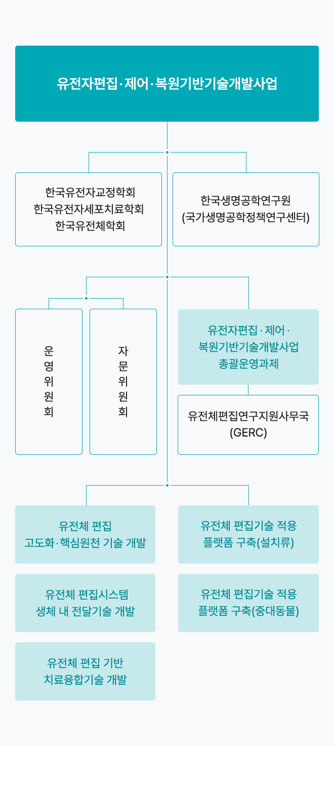 사업운영체계